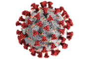 Coronavirus, Compagne de désinfection des blocs pédagogiques, amphithéâtre et laboratoires
