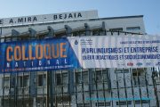 Colloque national sur le plurilinguismes et entreprises: Enjeux Didactiques et Socioéconomiques
