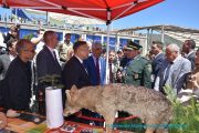 Visite du Pr Kamel BADDARI, MESRS à l'université de Bejaia 2
