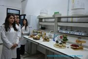 Visite du Pr Kamel BADDARI, MESRS à l'université de Bejaia 2
