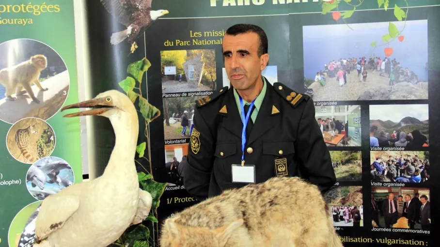 PREMIER CONGRÈS NORD AFRICAIN D’ORNITHOLOGIE & 4ÈME COLLOQUE INTERNATIONAL D’ORNITHOLOGIE ALGÉRIENNE