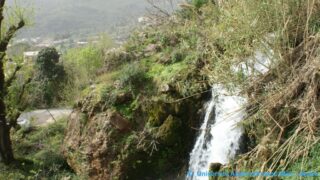 Tamaghra Waman à Toudja 48 Tamaghra Waman Toudja 21 Mars 2015 Pict0048