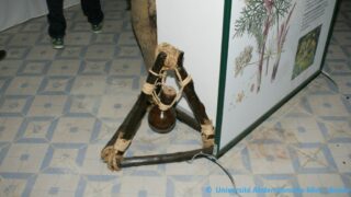 Tamaghra Waman à Toudja 62 Tamaghra Waman Toudja 21 Mars 2015 Pict0062