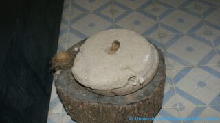 Tamaghra Waman à Toudja 74 Tamaghra Waman Toudja 21 Mars 2015 Pict0074