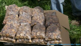 Tamaghra Waman à Toudja 93 Tamaghra Waman Toudja 21 Mars 2015 Pict0093