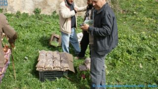 Tamaghra Waman à Toudja 94 Tamaghra Waman Toudja 21 Mars 2015 Pict0094