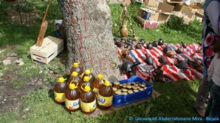 Tamaghra Waman à Toudja 100 Tamaghra Waman Toudja 21 Mars 2015 Pict0100