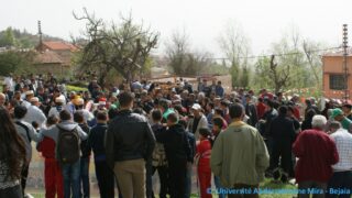 Tamaghra Waman à Toudja 106 Tamaghra Waman Toudja 21 Mars 2015 Pict0106