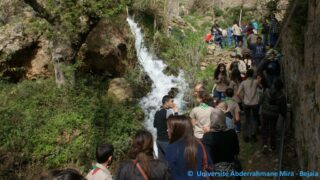 Tamaghra Waman à Toudja 112 Tamaghra Waman Toudja 21 Mars 2015 Pict0112