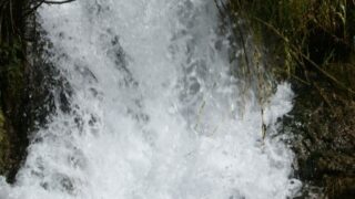 Tamaghra Waman à Toudja 119 Tamaghra Waman Toudja 21 Mars 2015 Pict0119