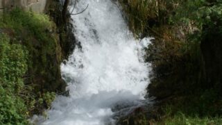 Tamaghra Waman à Toudja 120 Tamaghra Waman Toudja 21 Mars 2015 Pict0120