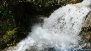 Tamaghra Waman à Toudja 122 Tamaghra Waman Toudja 21 Mars 2015 Pict0122