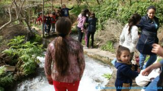 Tamaghra Waman à Toudja 123 Tamaghra Waman Toudja 21 Mars 2015 Pict0123