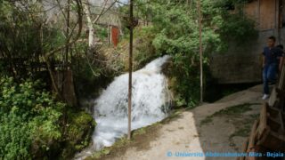 Tamaghra Waman à Toudja 124 Tamaghra Waman Toudja 21 Mars 2015 Pict0124