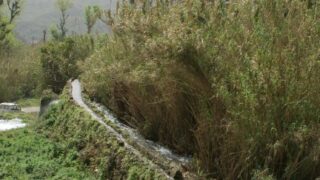 Tamaghra Waman à Toudja 125 Tamaghra Waman Toudja 21 Mars 2015 Pict0125