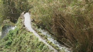 Tamaghra Waman à Toudja 126 Tamaghra Waman Toudja 21 Mars 2015 Pict0126