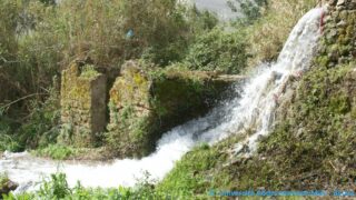 Tamaghra Waman à Toudja 127 Tamaghra Waman Toudja 21 Mars 2015 Pict0127