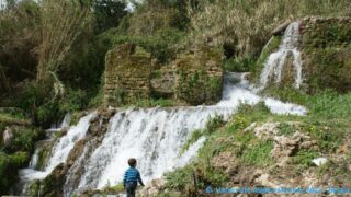 Tamaghra Waman à Toudja 130 Tamaghra Waman Toudja 21 Mars 2015 Pict0130