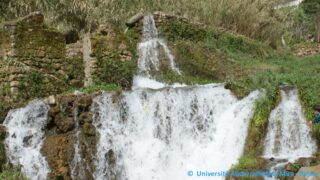 Tamaghra Waman à Toudja 135 Tamaghra Waman Toudja 21 Mars 2015 Pict0135