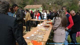 Tamaghra Waman à Toudja 145 Tamaghra Waman Toudja 21 Mars 2015 Pict0145