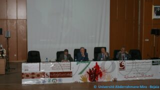 Colloque international sur les massacres coloniaux Le 10 05 2015 Pict0059