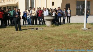 conference animee par pr kamel adi 11 05 2015 Pict0037 Pict0010 Copie