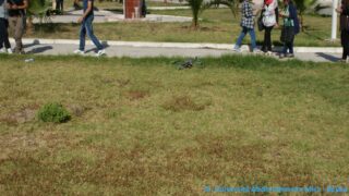 conference animee par pr kamel adi 11 05 2015 Pict0037 Pict0018 Copie