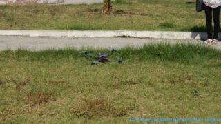 conference animee par pr kamel adi 11 05 2015 Pict0037 Pict0019 Copie