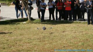 conference animee par pr kamel adi 11 05 2015 Pict0037 Pict0029 Copie