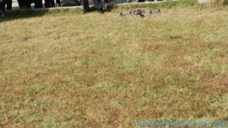 conference animee par pr kamel adi 11 05 2015 Pict0037 Pict0039 Copie