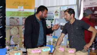 Forum Etudiants Entreprises F2E des diplomes et des horizons 14 15 Novembre 2018 Picture 155