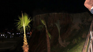 Forum Etudiants Entreprises F2E des diplomes et des horizons 14 15 Novembre 2018 Picture 178