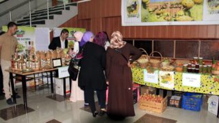 1er Séminaire National sur la Valorisation du Figuier de Barbarie 11 Seminaire National figuier de barbarie Universite de Bejaia Campus Amizour 19 sept 2016 011