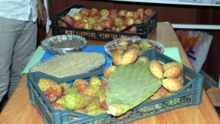 1er Séminaire National sur la Valorisation du Figuier de Barbarie 16 Seminaire National figuier de barbarie Universite de Bejaia Campus Amizour 19 sept 2016 016