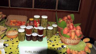 1er Séminaire National sur la Valorisation du Figuier de Barbarie 17 Seminaire National figuier de barbarie Universite de Bejaia Campus Amizour 19 sept 2016 017