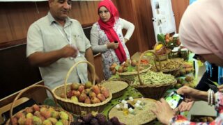 1er Séminaire National sur la Valorisation du Figuier de Barbarie 26 Seminaire National figuier de barbarie Universite de Bejaia Campus Amizour 19 sept 2016 026