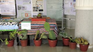 1er Séminaire National sur la Valorisation du Figuier de Barbarie 63 Seminaire National figuier de barbarie Universite de Bejaia Campus Amizour 19 sept 2016 063