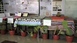 1er Séminaire National sur la Valorisation du Figuier de Barbarie 64 Seminaire National figuier de barbarie Universite de Bejaia Campus Amizour 19 sept 2016 064