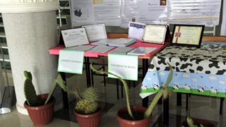 1er Séminaire National sur la Valorisation du Figuier de Barbarie 65 Seminaire National figuier de barbarie Universite de Bejaia Campus Amizour 19 sept 2016 065