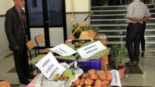 1er Séminaire National sur la Valorisation du Figuier de Barbarie 66 Seminaire National figuier de barbarie Universite de Bejaia Campus Amizour 19 sept 2016 066