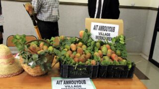 1er Séminaire National sur la Valorisation du Figuier de Barbarie 72 Seminaire National figuier de barbarie Universite de Bejaia Campus Amizour 19 sept 2016 072