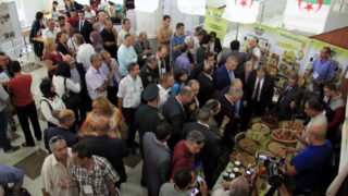 1er Séminaire National sur la Valorisation du Figuier de Barbarie 128 Seminaire National figuier de barbarie Universite de Bejaia Campus Amizour 19 sept 2016 128