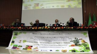 1er Séminaire National sur la Valorisation du Figuier de Barbarie 137 Seminaire National figuier de barbarie Universite de Bejaia Campus Amizour 19 sept 2016 137