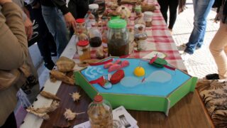 Semaine de environnement universite Bejaia croissant rouge Algerien comite communal de Bejaia 10 14 mars 2017 027