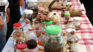 Semaine de environnement universite Bejaia croissant rouge Algerien comite communal de Bejaia 10 14 mars 2017 028