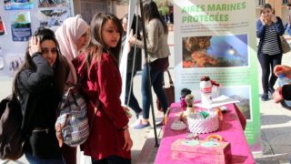 Semaine de environnement universite Bejaia croissant rouge Algerien comite communal de Bejaia 10 14 mars 2017 046