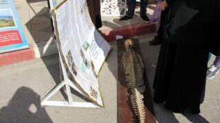 Semaine de environnement universite Bejaia croissant rouge Algerien comite communal de Bejaia 10 14 mars 2017 049