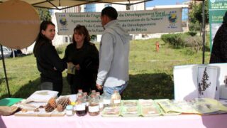 Semaine de environnement universite Bejaia croissant rouge Algerien comite communal de Bejaia 10 14 mars 2017 050