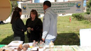 Semaine de environnement universite Bejaia croissant rouge Algerien comite communal de Bejaia 10 14 mars 2017 051