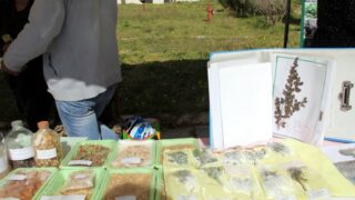 Semaine de environnement universite Bejaia croissant rouge Algerien comite communal de Bejaia 10 14 mars 2017 054